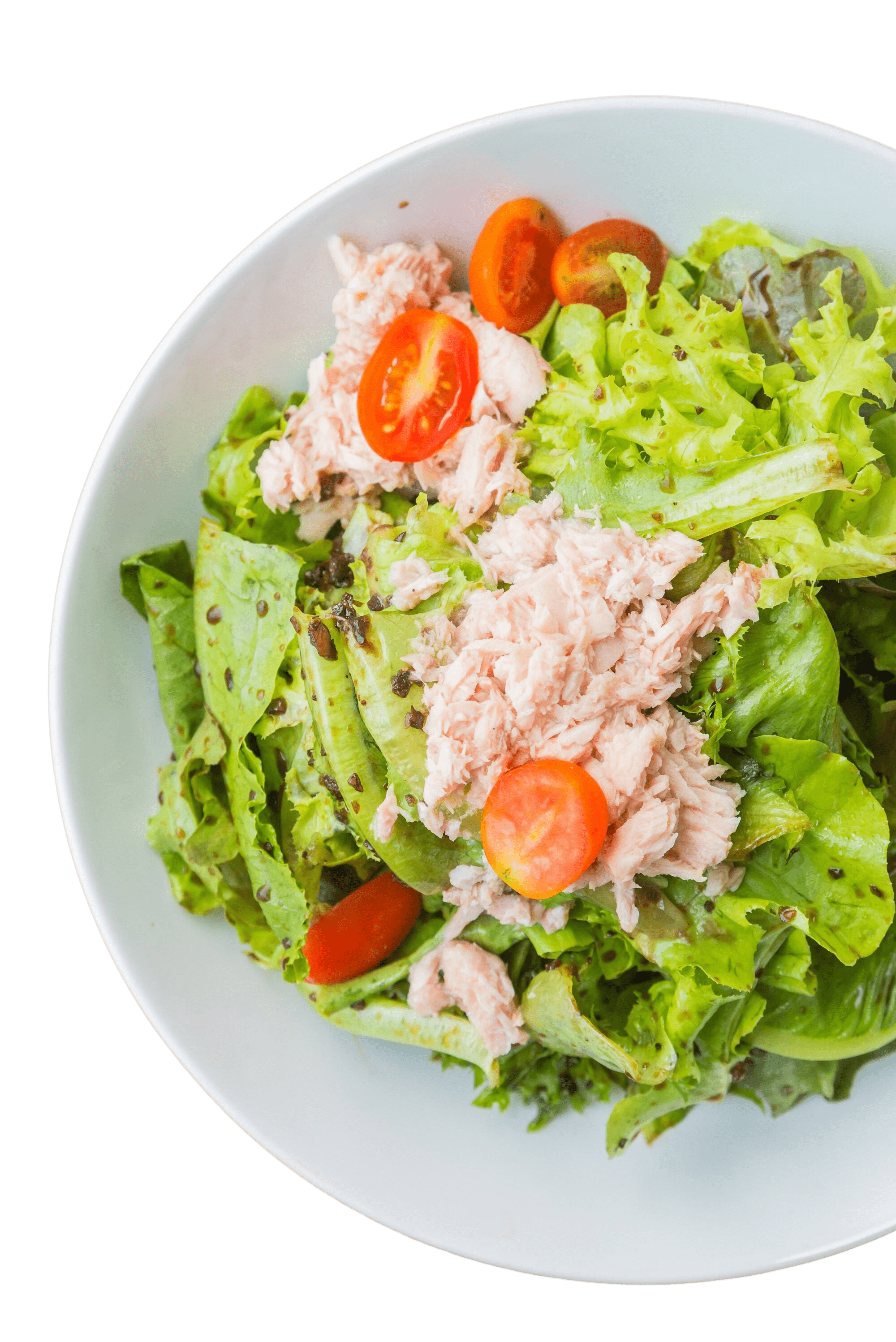 Tuna Salad